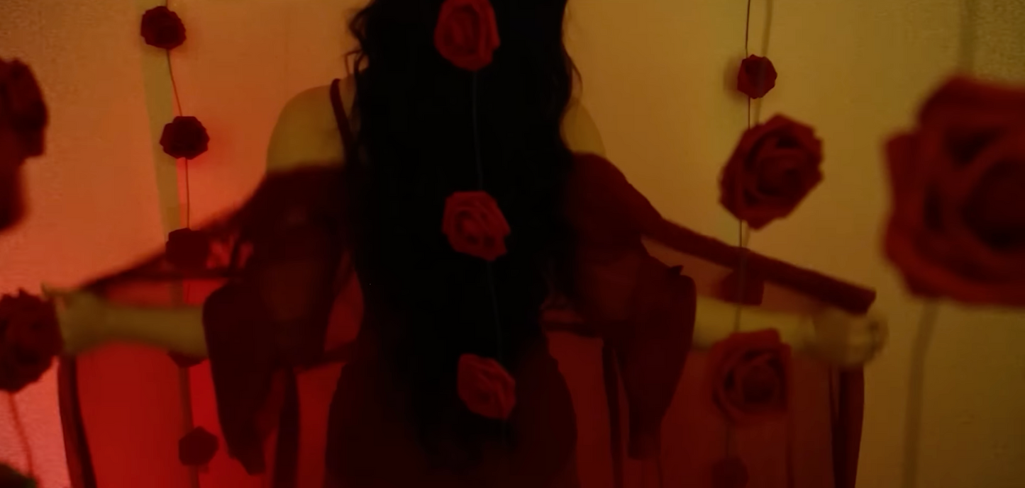 Rare Collectibles: The 100 roses from the "My Funny Valentine" music video