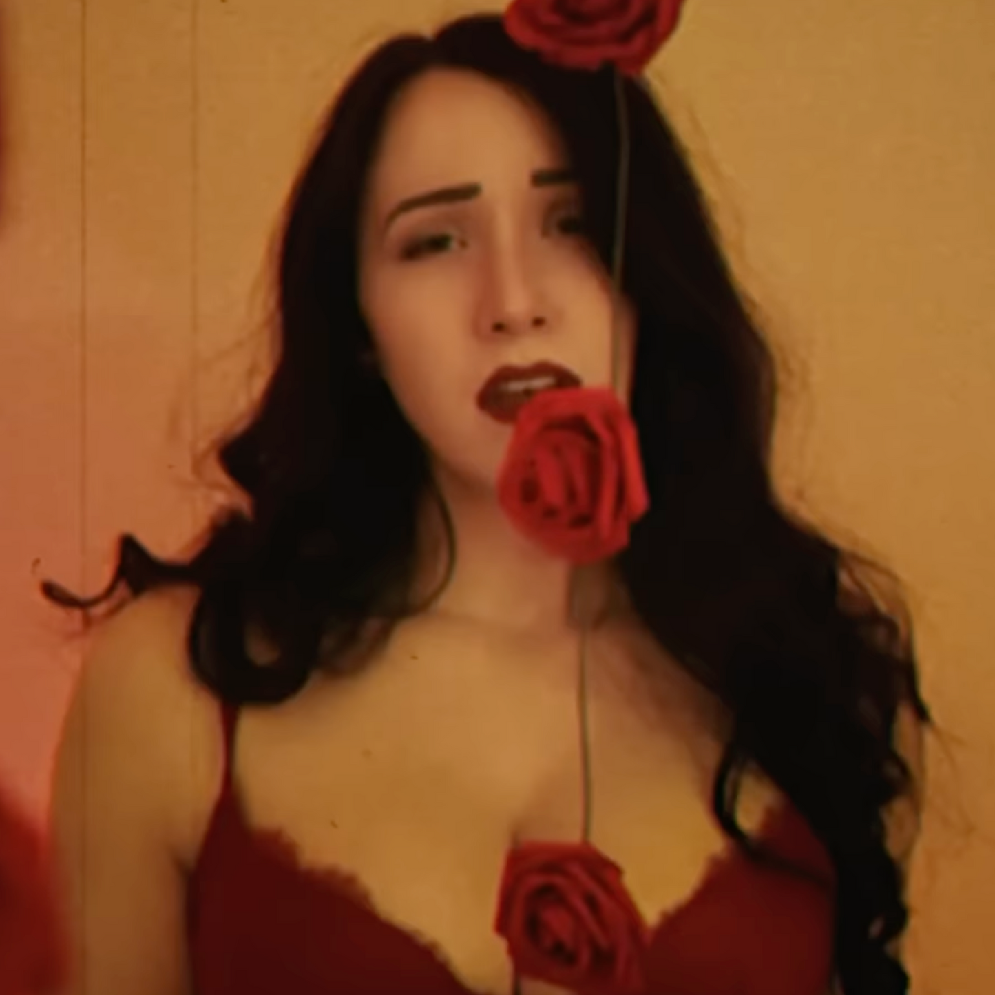 Rare Collectibles: The 100 roses from the "My Funny Valentine" music video